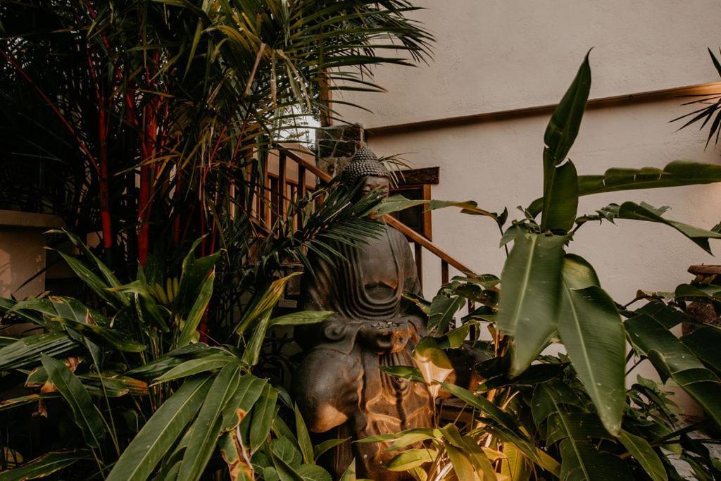 Sansara Surf Yoga & Resort كامبوتال المظهر الخارجي الصورة